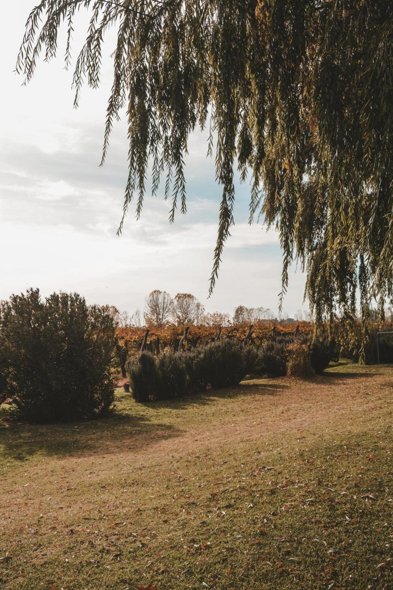 De Andes Holiday home Mendoza