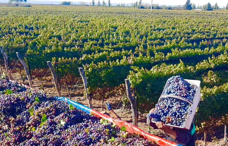 De Andes * Mendoza