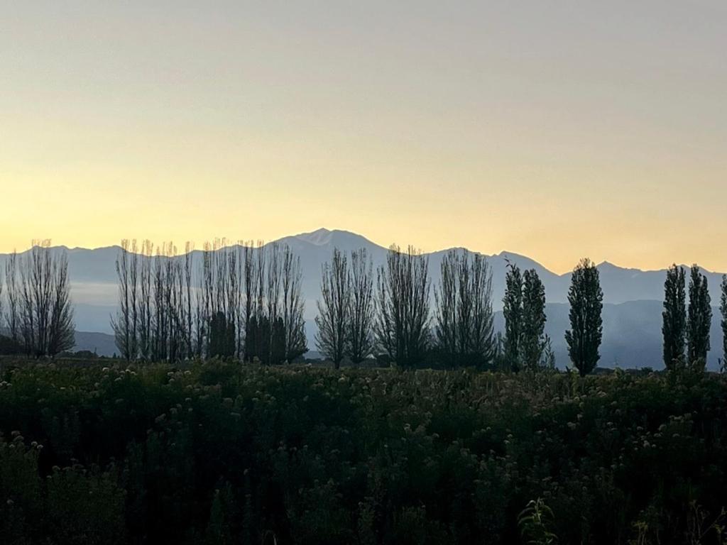 Holiday home De Andes