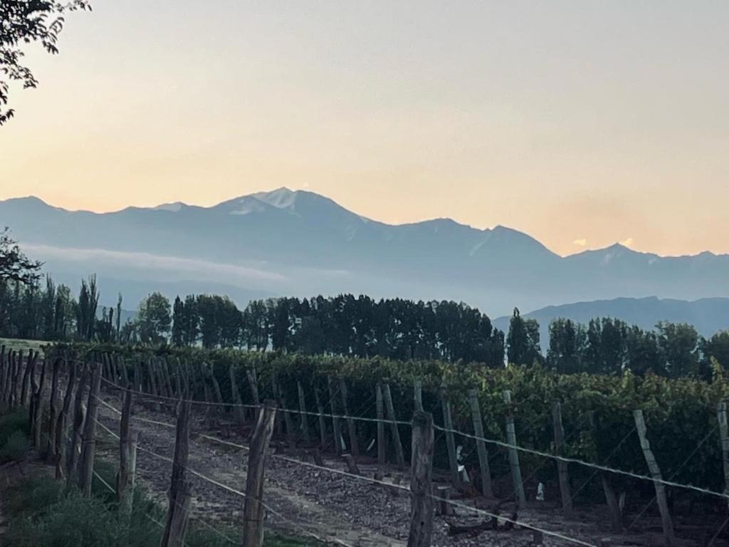De Andes * Mendoza