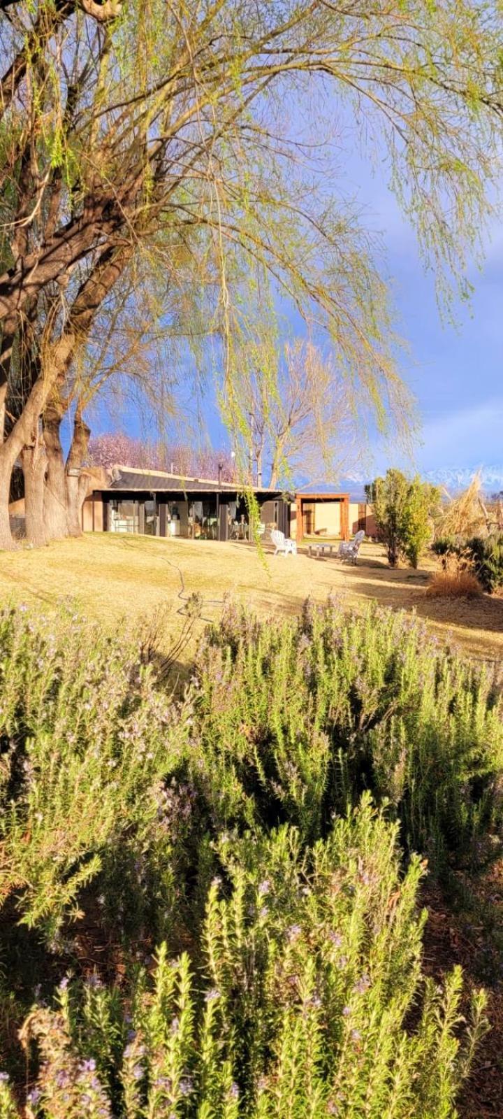 De Andes * Mendoza
